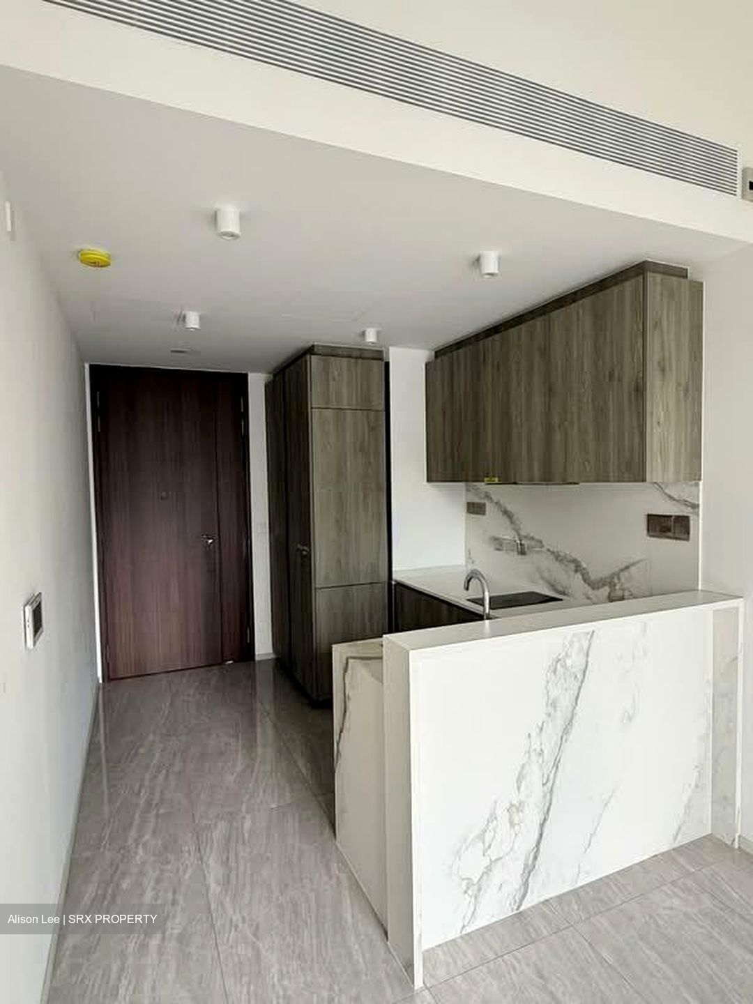 Leedon Green (D10), Condominium #600472111
